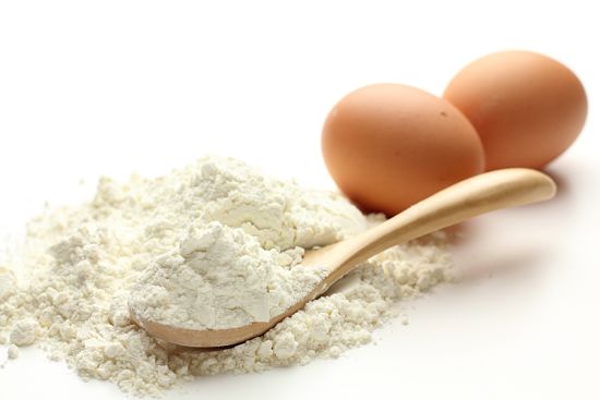 drt egg albumin powder